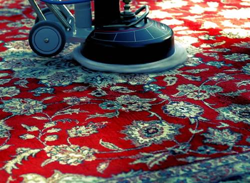 Preserving History: Antique Rug Cleaning Tips